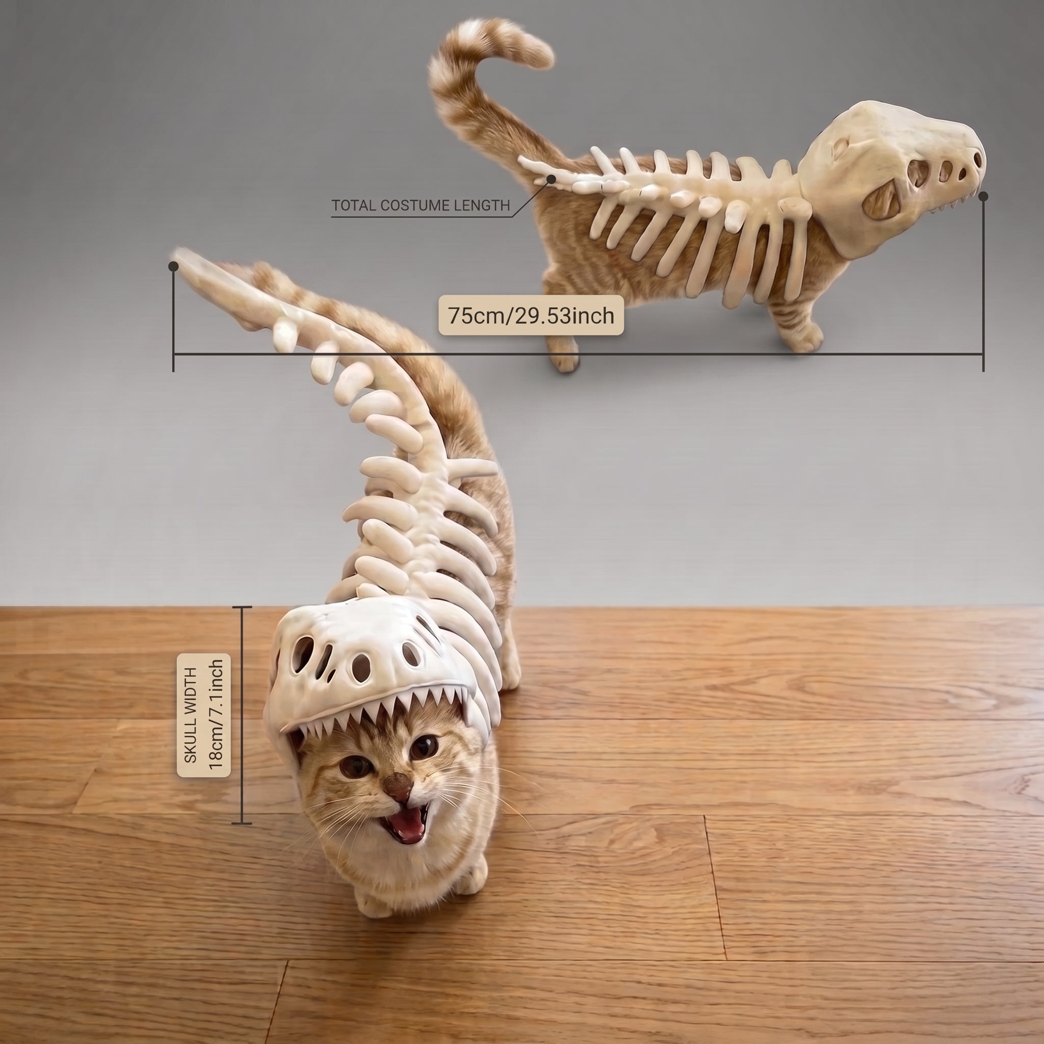 Dino-Bones Pet Costume