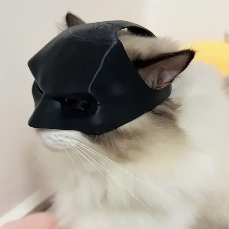 Midnight Bandit Cat Mask
